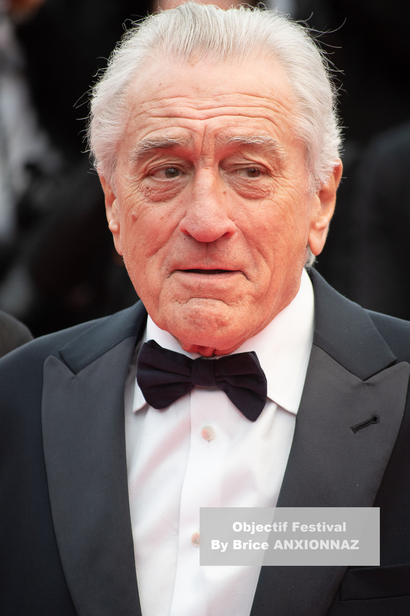 Robert De Niro / 78th Cannes International Film Festival / Objectif Festival by Brice ANXIONNAZ